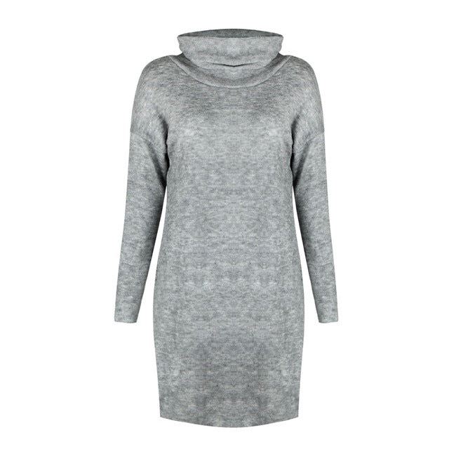 Womens Knitted Sweater Jumper Turtleneck Mini Dress Ladies Knitwear Winter Long Sleeve Dress
